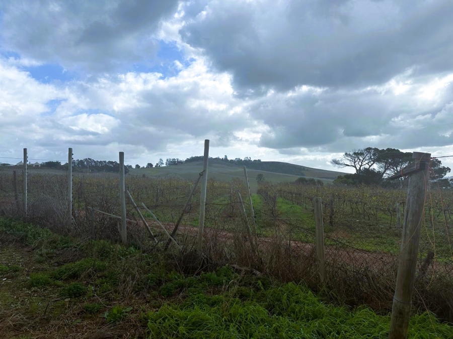 10 Bedroom Property for Sale in Stellenbosch Farms Western Cape